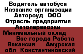 Водитель автобуса › Название организации ­ Автороуд, ООО › Отрасль предприятия ­ Автоперевозки › Минимальный оклад ­ 50 000 - Все города Работа » Вакансии   . Амурская обл.,Константиновский р-н